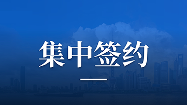 必发联行助力奉城镇S3科创走廊推介会圆满落幕