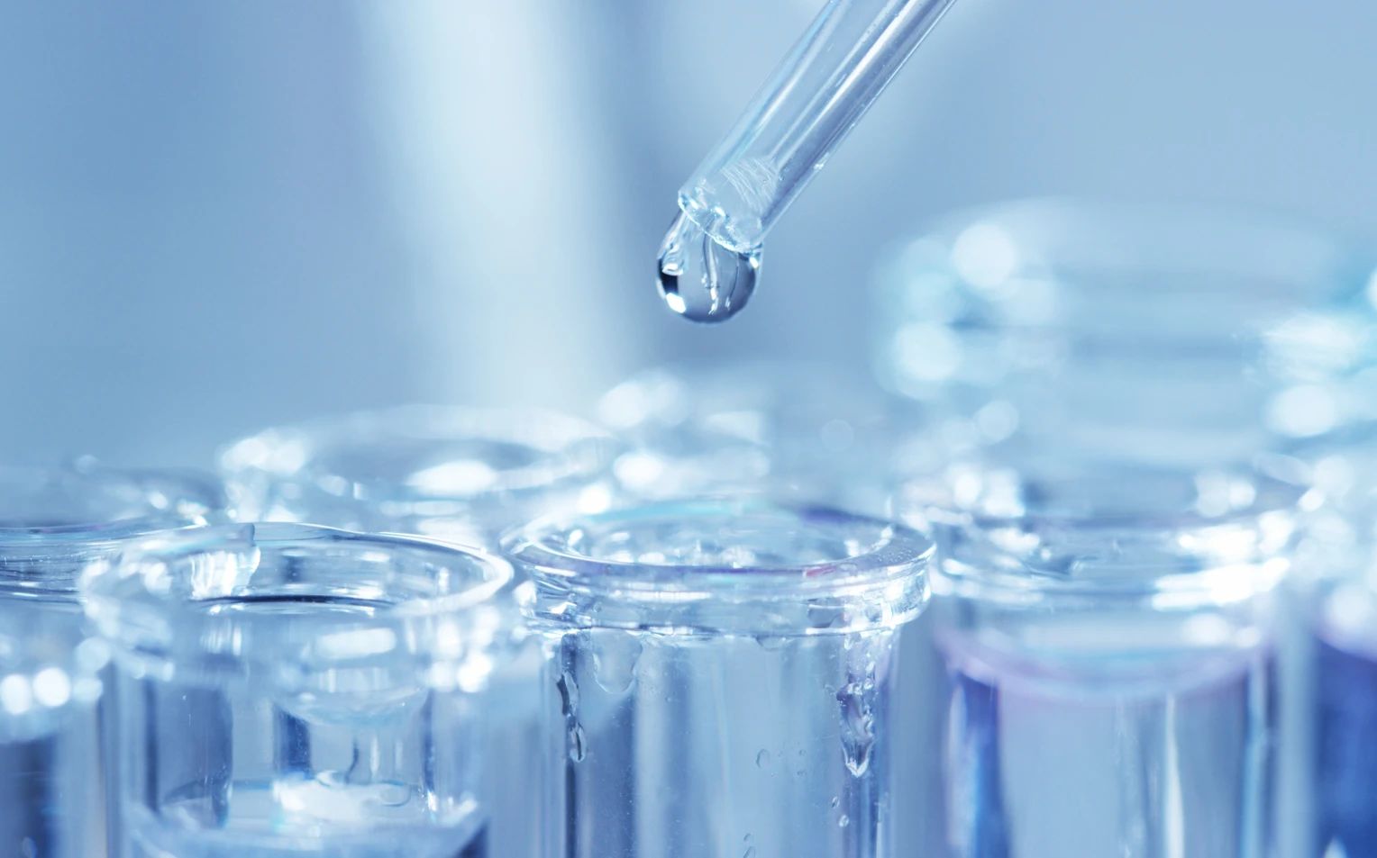 bifa·必发(中国)唯一官方网站